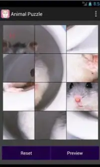 Sweet Pet Puzzle Screen Shot 1