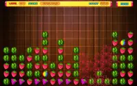 Crush The Fruits - Puzzle Game Screen Shot 2
