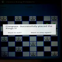 King Problem Screen Shot 4