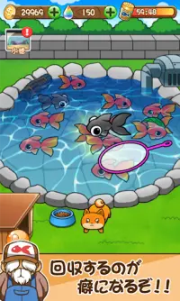 金魚コレクション - 金魚すくい無料ゲーム Screen Shot 2