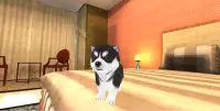 Köpek yavrusu Simülatörü 3D Screen Shot 0