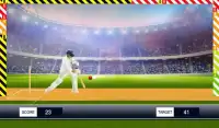 World T10 Cricket Premier League 3D Screen Shot 7