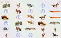 Play and learn: animals,colors,numbers,curiosities Screen Shot 13