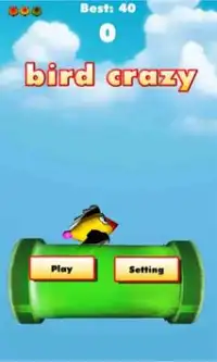 Crazy Birds Screen Shot 0