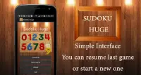 Sudoku Huge Screen Shot 0