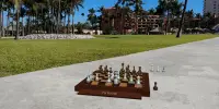 AR-шахматы Screen Shot 1