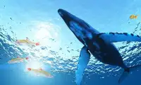 Zły niebieski Wieloryb Symulator Screen Shot 0