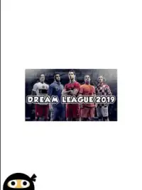 Dream League 2019 Screen Shot 11