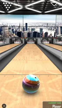 3D Pro Bowling Screen Shot 0