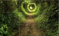 Puzzle - bellezza di natura Screen Shot 7