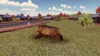 Wild Bear Simulator Screen Shot 2