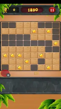 Wood Star Puzzle FREE - Classic Tertis Star Puzzle Screen Shot 2