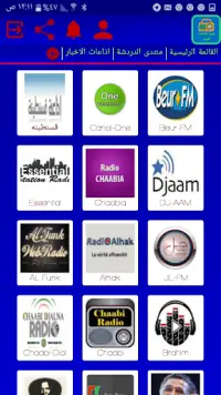 راديو الاذاعات العربية Screen Shot 7