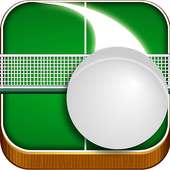 Tennis Table Ball Ping Pong 3D