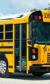 Ônibus escolares Novos quebra-cabeças Screen Shot 0