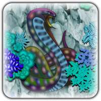 Slithery Snake - The Journey