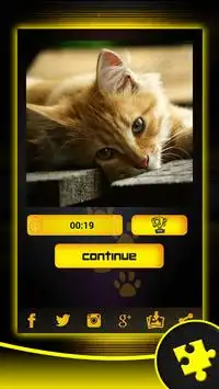 Gatito Rompecabezas Gratis Screen Shot 2