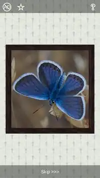 Butterflies Puzzles - 101 pictures Screen Shot 5