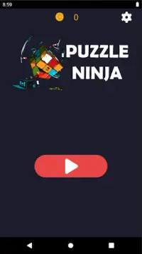 Puzzle Ninja Screen Shot 0