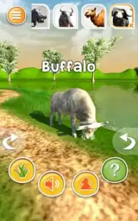 Animal Simulator 3D - Crocodile etc. Screen Shot 15