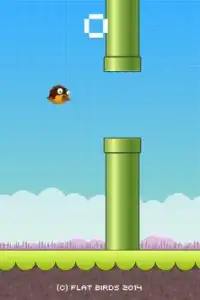 Flat Birds Screen Shot 2