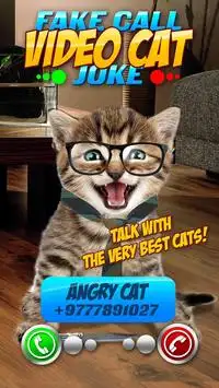 Palsu Video Call Cat Joke Screen Shot 3