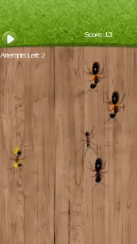 Tap Ant Smasher To kill Ants Screen Shot 1