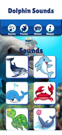 Masaya Dolphin Show Laro Para Screen Shot 1