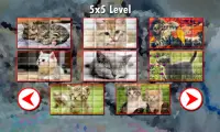 Kitty Puzzle Screen Shot 5