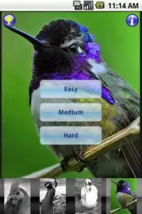 Slide Mania - Birds Screen Shot 0