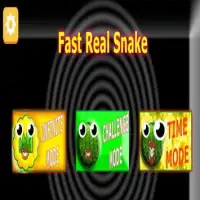 Fast Real Snake Screen Shot 2