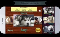 Puzzle Rompecabezas Dogs (Offline) Screen Shot 2