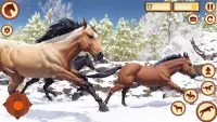 Wild Horse : Equestrian Family Screen Shot 3