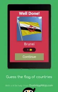 Guess the flag of countries Screen Shot 8