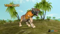 Tiger Chase Simulator Screen Shot 0
