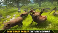 Archery: Animals Hunter Screen Shot 1