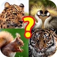 Guess the Animal Puzzle