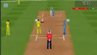 Unlimited Cricket 3D Screen Shot 3