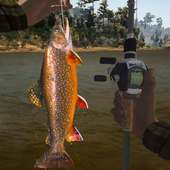 Bass Fishing Hunt 3D - catching fish game