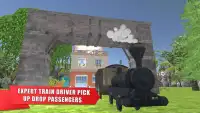 Expert Train Driver Screen Shot 0