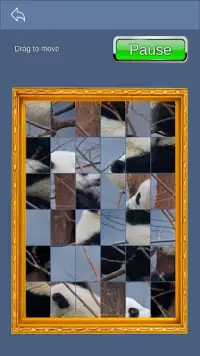 Homescape Puzzle - Panda Jigsaw Screen Shot 6