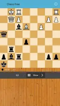 шахматы бесплатно Screen Shot 1