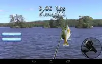 i Fishing 3 Lite Screen Shot 5