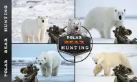 Angry Wild Bear - Polar Bear Hunting 2018 Screen Shot 0