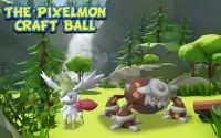 The Pixelmon Craft Ball Screen Shot 0
