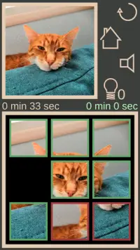 Collect The Cat Screen Shot 9