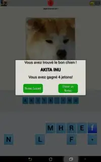 Quizz Race de chien Screen Shot 6