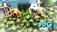 DOGS LIFE : Free Dog Games Screen Shot 2