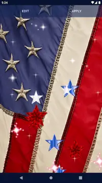American Flag Wallpapers Screen Shot 4
