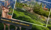 Deer Sniper Hunter: Wild Animal Hunting Game Screen Shot 0